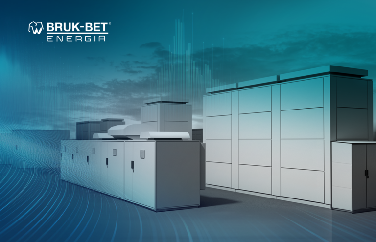 Magazynowanie energii z fotowoltaiki – wskazówki dla firm, które przystąpiły do usług Demand Side Response